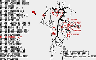 Bases de l'Anatomie (Les) atari screenshot